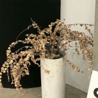 Furry插画构图技巧福瑞交流群